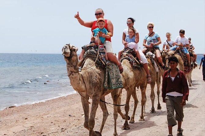 Hurghada Bedouin Desert Safari by Jeep - Pricing Information