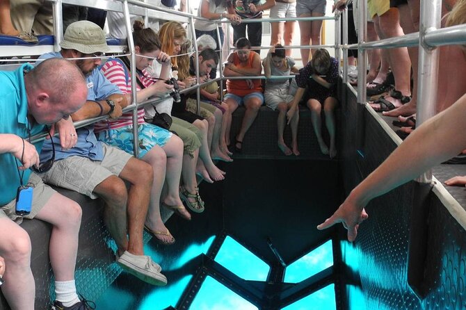 Hurghada Glass-Bottom Speed Boat With Fish-Eye View - Operator Information