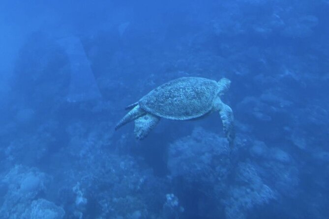 Hurghadas Semi Submarine and Snorkeling Experience - Additional Charges