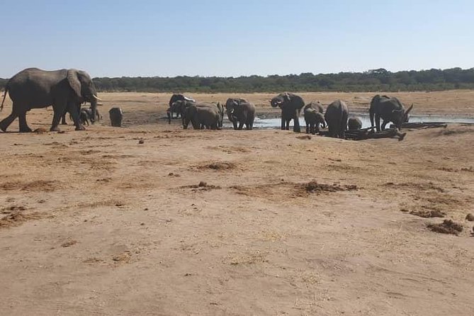 Hwange Safari Day Trip From Victoria Falls - Departure Details