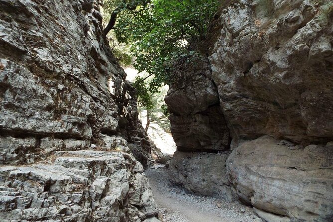 Imbros Gorge Tour From Rethymno - Scenic Drive