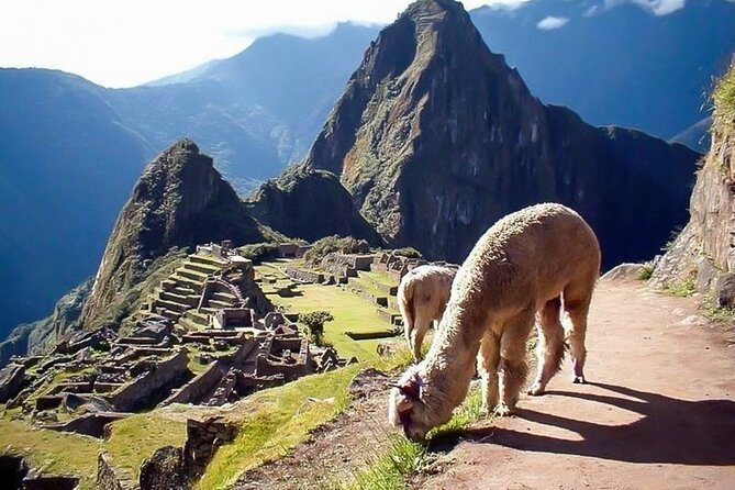 Inka Jungle Tour 4 Days 3 Nights - Included Meals