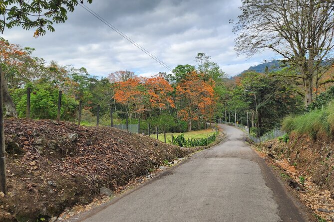 Irazú Volcano National Park Half Day Tour From San Jose - Frequently Asked Questions