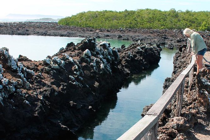 Isabela Island Explorer 2 Days -1 Night - Price