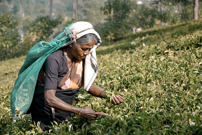 Island of Wonder (5 Days) - The Sum Up