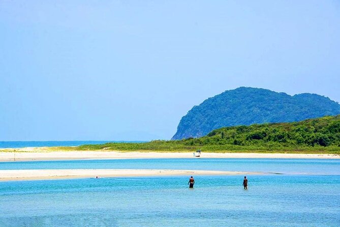 Itaguare Beach Private Tour With Indigenous Tribe From Santos - Experience With the Indigenous Tribe