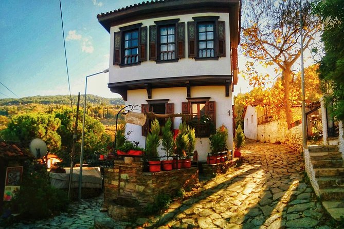 Izmir Port to Ephesus, Terrace Houses, Selcuk Museum, Temple of Artemis - Pricing and Booking Details