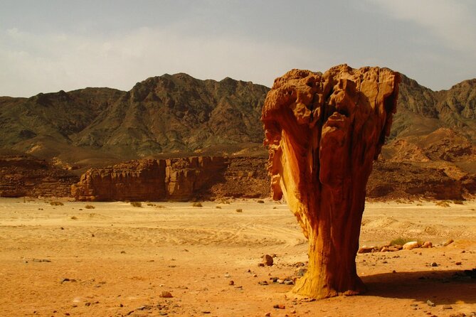 Jeep and Camel Safari 2 Days and 1 Night From Dahab - Booking Price Information