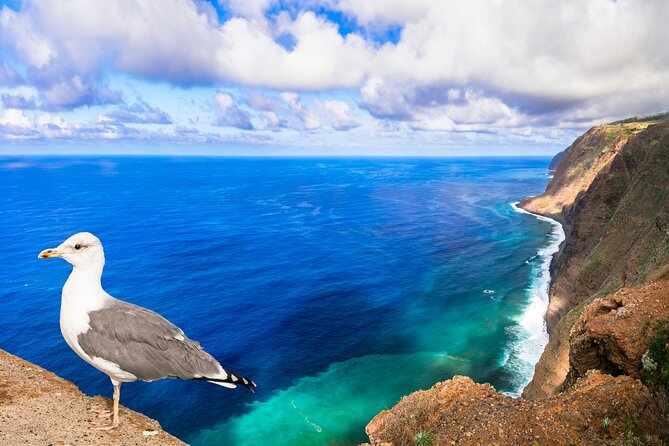 Jeep Safari in Southwest, Calheta and Ponta Do Sol Full Day Tour - Cancellation Policy Details