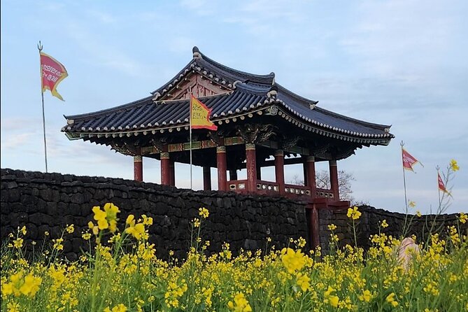 Jeju Taxi Tour KJ With Flexible Scheduling - Frequently Asked Questions