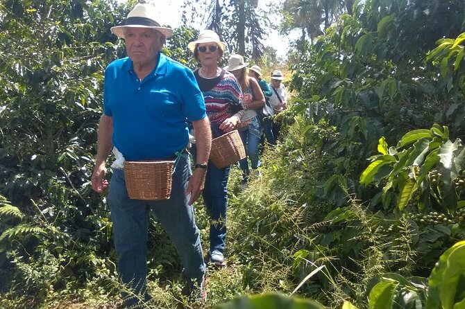 Jericó Full-Day Tour - Price and Booking Information