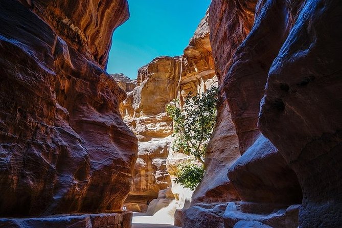 Jordan Pass 2-Night Gem Private Tour: Petra, Wadi Rum, and Aqaba From Amman - Exclusions to Consider