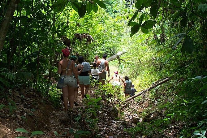 Jungle & Sea Mogos - Osa Peninsula - Start Time