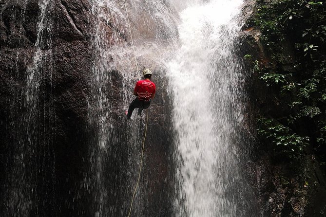 Jungle Trekking + Waterfall Abseiling - Customer Reviews