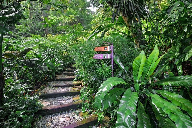 Kandy and Spice Garden Private Full-Day Tour From Colombo - Pricing Information