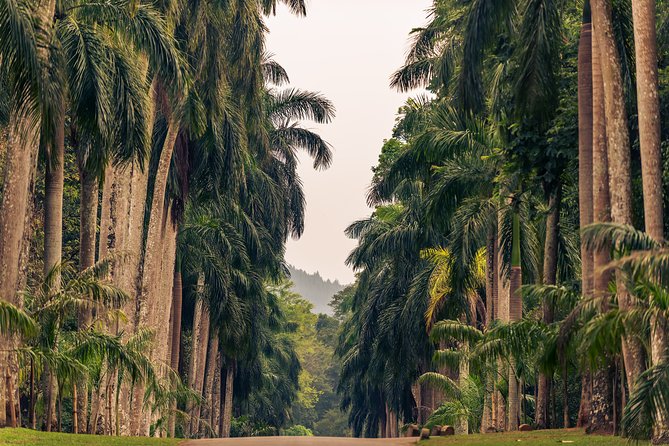 Kandy City Tour From Negombo - Pickup Details