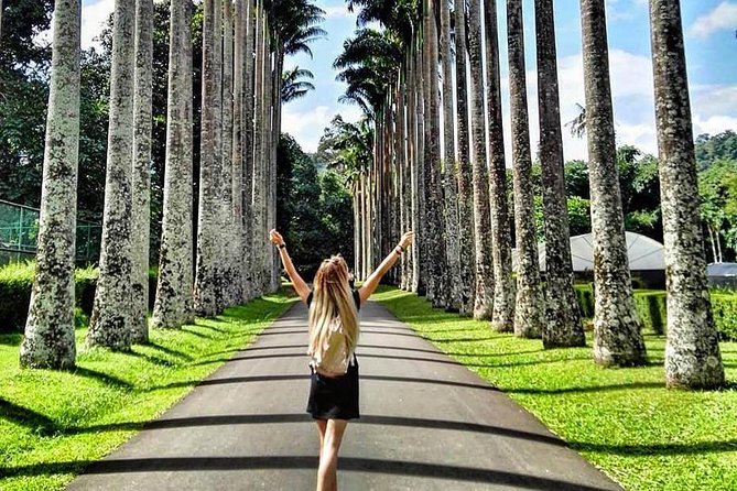 Kandy Day Tour From Colombo With Pinnawala - Additional Info