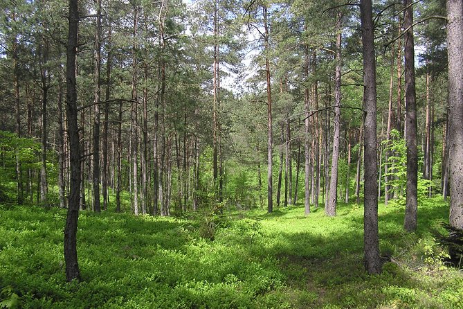 Kashubian Switzerland 1-Day Private Tour From Gdansk - Pickup Details