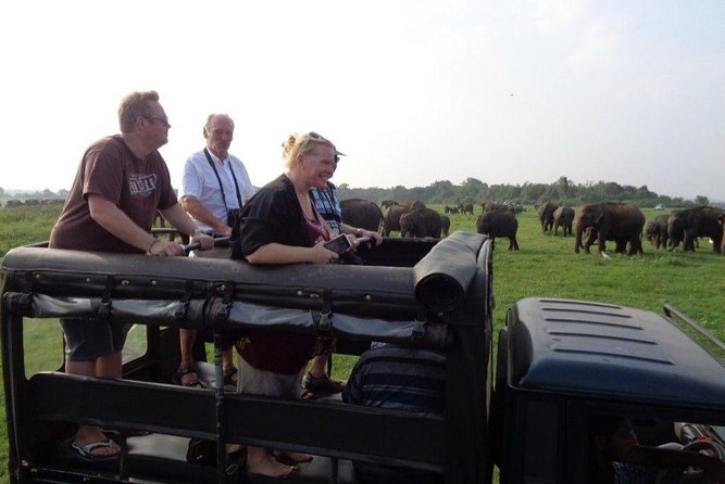 Kaudulla National Park - Private Safari From Habarana - Price and Guarantee Information