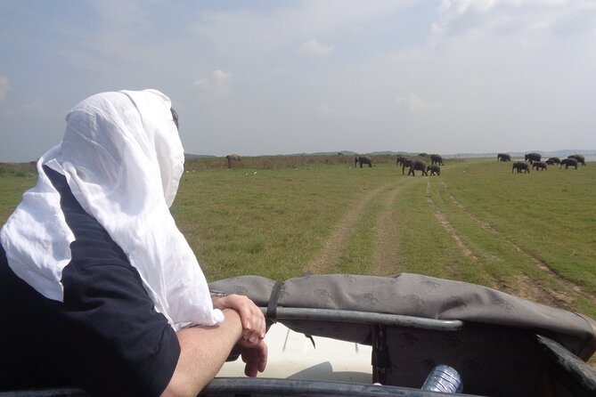 Kaudulla National Park - Private Safari From Sigiriya - Meeting and Pickup Options