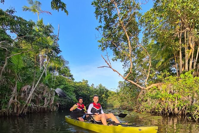 KAYAK RENT Down the Preguiças River 2 Days by Costa Leste - Health and Safety Guidelines