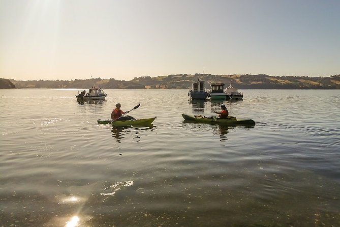 Kayaking in Chiloé Island - Meeting and Pickup Details