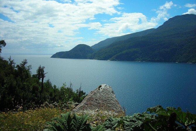 Kayaking Patagonian Fjord From Puerto Varas - Whats Included in the Tour