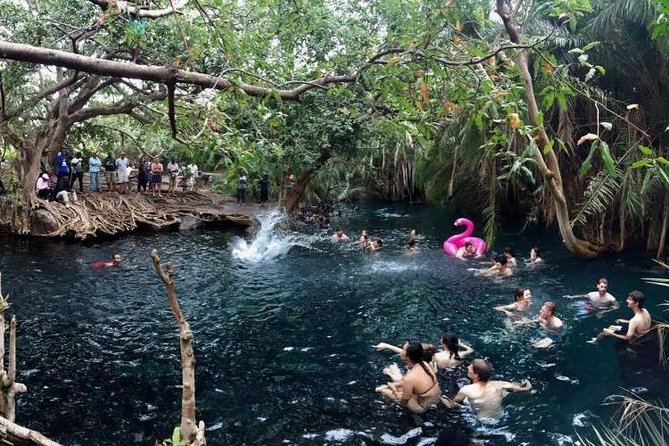 Kikuletwa Hot Springs - Day Trip - End Point