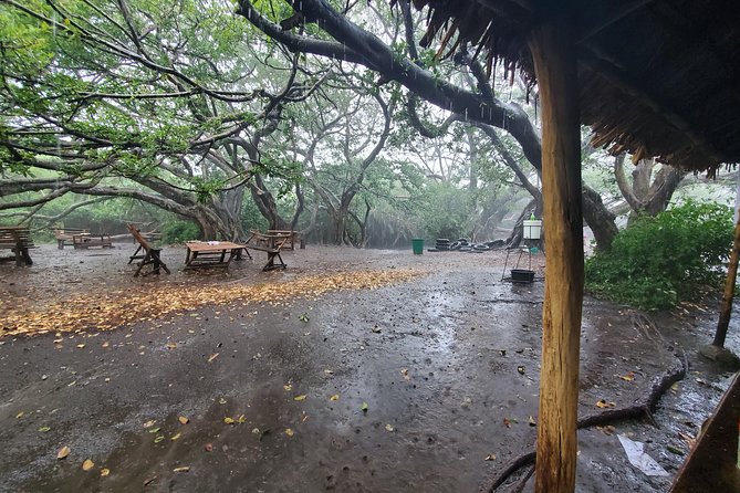 Kikuletwa Hot Springs - Group Tour Details