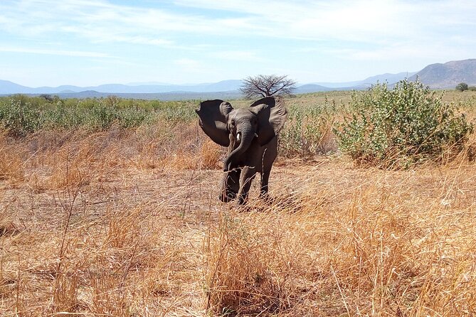 Kilimahewa Safari (Adventure) Full and Real Wild - Inclusions and Amenities