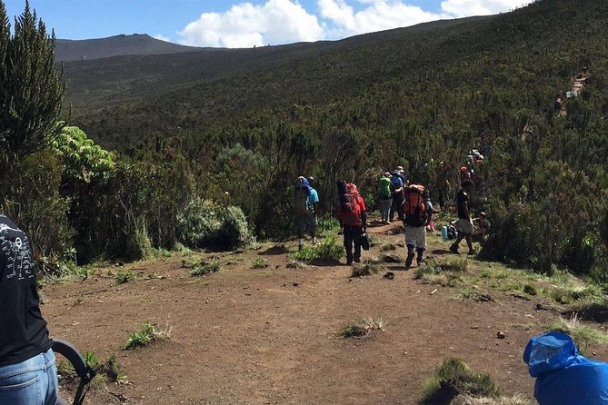Kilimanjaro National Park Day Trip - Important Information