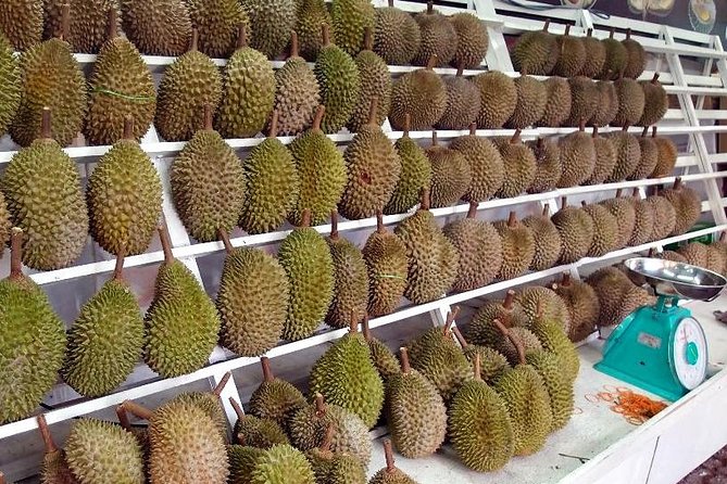 King of Tropical Fruits - Durian Tasting Tour From Kuala Lumpur - Start Time and Accessibility