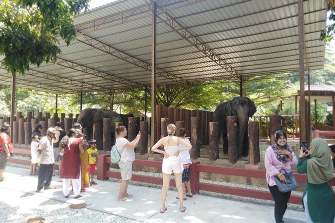 Kuala Gandah Elephant Sanctuary With a Batu Caves Visit - Booking Information