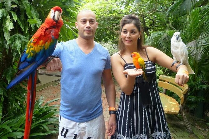 Kuala Lumpur Bird Park & Butterfly Farm Include Entrance