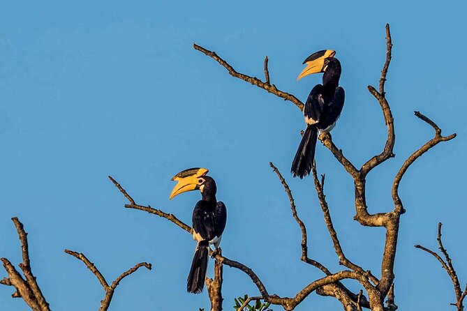 Kumana National Park Tour From Galle - Operator and Cancellation Policy