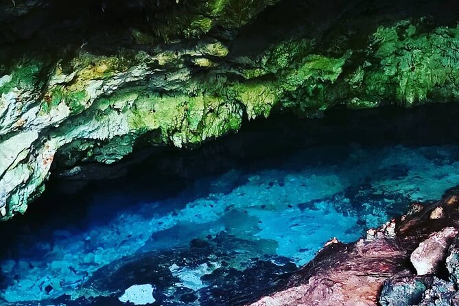 Kuza Cave Tour, The Rock Restaurant, Jozani Forest, Stone Town, Secret Garden - Accessibility Information