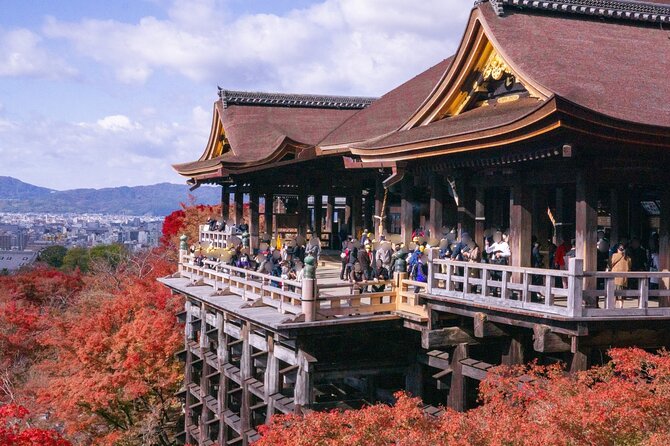 Kyoto Private Tour With National Licensed Guide - Lowest Price Guarantee