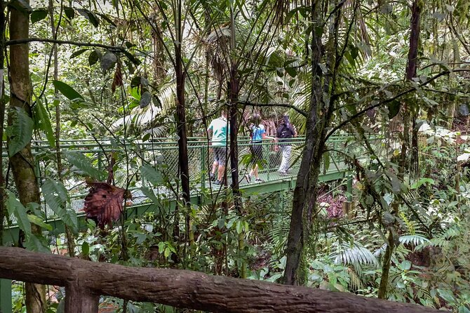 La Fortuna: Sloth Watching - 3 Hours Tour - Inclusions and Amenities
