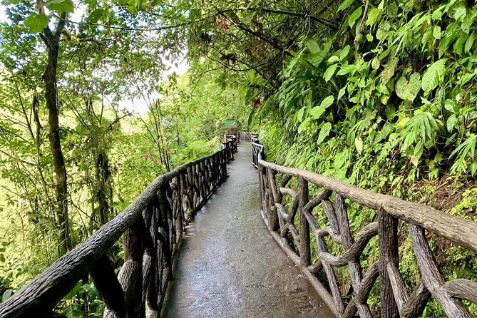 La Paz Waterfall Gardens Nature Park Full-Day Tour - The Sum Up