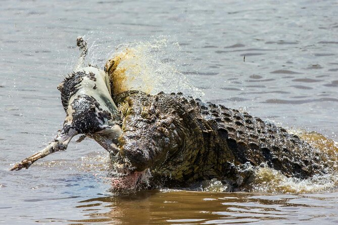 Lake Eyasi and Ngorongoro Crater Tour From Arusha - Important Information