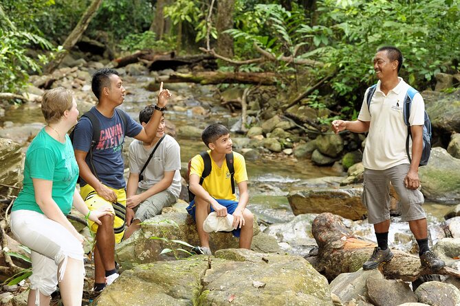 Langkawi Rainforest Jungle Trekking Tour With Private Pickup
