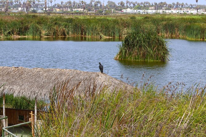 Last Little Wildlife Refuge in Lima - Local Community Involvement