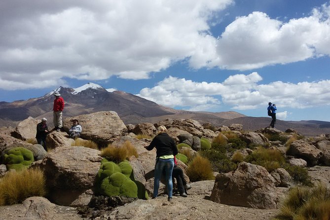 Lauca National Park 2D / 1N Arica - Putre - Lake Chungará - Arica - Exploring Lake Chungará