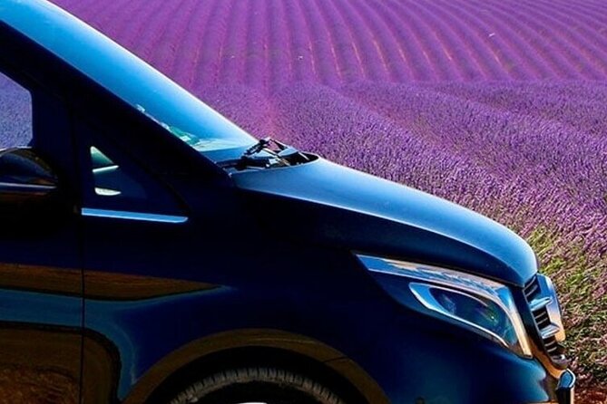 Lavender Fields Full Day Private Tour From Marseille - Price