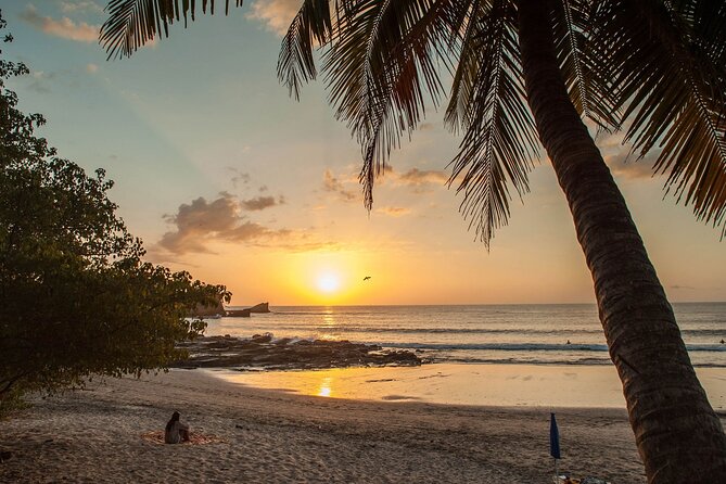 Liberia Airport Shuttle To Nosara & Guiones Beach Costa Rica - Transparent Pricing Information