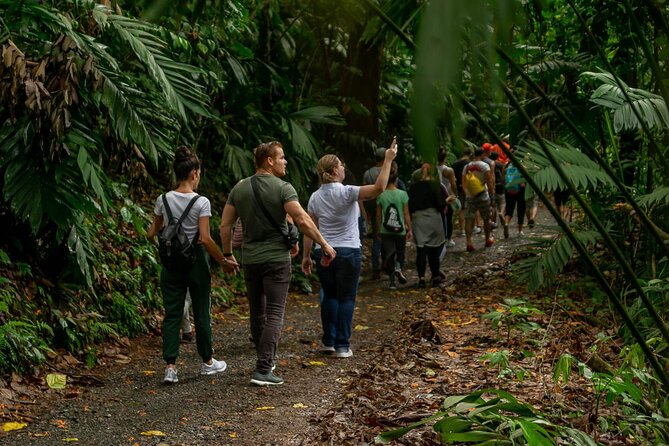 Limón Rainforest Hanging Bridges-Skywalk Tour & Tortuguero Canals - Tour Logistics