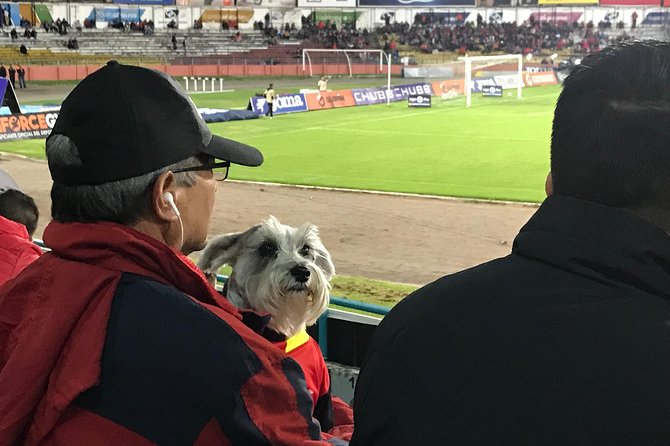 Live Soccer Game of the First League of Ecuador at the Local Stadium of Cuenca - Booking Information