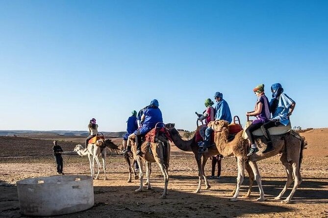 Lunch and Camels Trek in Desert Agafay Day Trip From Marrakech - Amenities Included