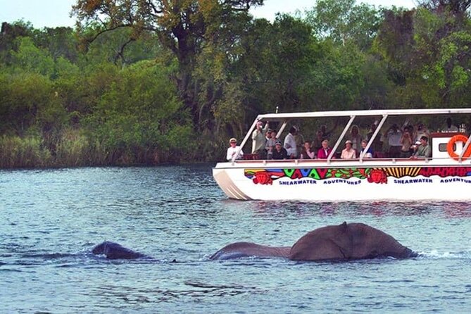 Lunch Cruise on the Zambezi River Above the Victoria Falls - Cancellation Policy