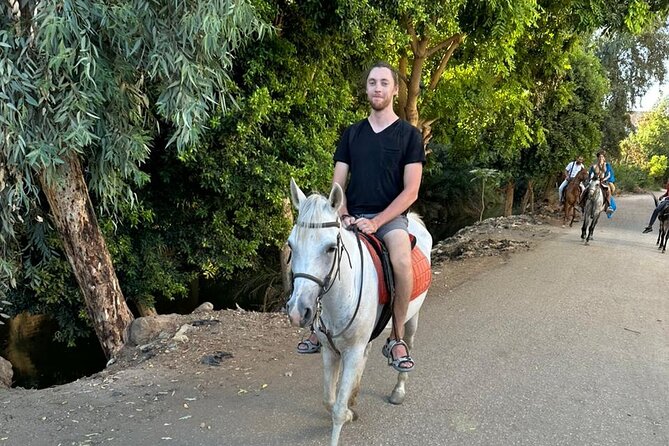 Luxor Amazing Horse Riding Tour in West Bank With Transfer
